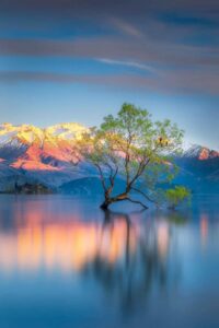 how to pave the path to true happiness